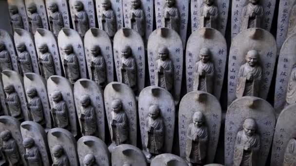 Багато Скельних Статуй Будди Бодхісаттви Природі Острова Міядзіма Хіросіма Японія — стокове відео
