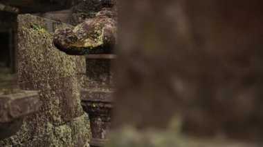 Toshogu Tapınağı. Japonya Nikko 'da taş fenerler yosun ile kaplandı. Geleneksel Japon mimarisi. Yüksek kalite 4k görüntü