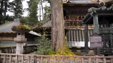 Toshogu Tapınağı. Geleneksel Japon Budist tapınağı ve Nikko, Japonya 'da yosun kaplı taş fenerlerle dolu tapınak. Japonya 'daki tapınakların geleneksel mimarisi. Yüksek kalite 4k görüntü