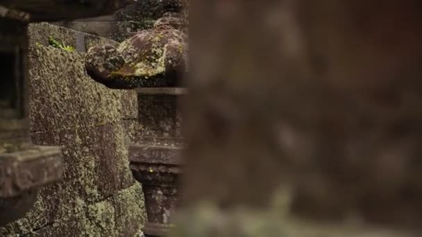 Santuario Toshogu Faroles Piedra Cubiertos Musgo Nikko Japón Arquitectura Tradicional — Vídeos de Stock