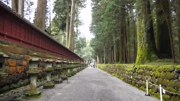 Toshogu Heiligdom Lange Steeg Met Stenen Lantaarns Begroeid Met Mos — Stockvideo