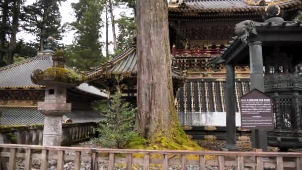 Santuário Toshogu Templo Budista Japonês Tradicional Santuário Xintoísmo Com Lanternas — Vídeo de Stock