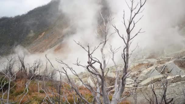 日本Hakone的Owakudani山谷 硫磺烟雾和火山喷发带着烟雾 高质量的4K镜头 — 图库视频影像