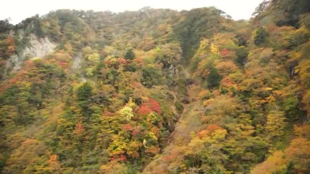 Naturaleza Japonesa Bellamente Coloreada Otoño Alrededor Nikko Japón Paisaje Otoñal — Vídeo de stock