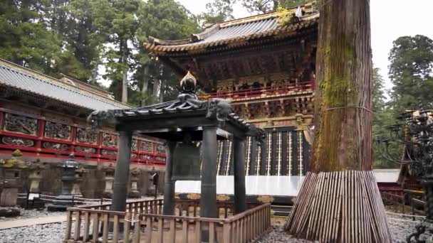 Santuario Toshogu Templo Budista Tradicional Japonés Santuario Sintoísta Con Faroles — Vídeos de Stock