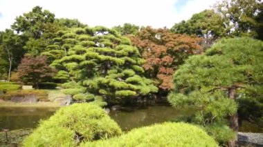 Tokyo 'da yaz mevsiminde Doğu Bahçeleri İmparatorluk Sarayı. Yüksek kalite 4k görüntü.