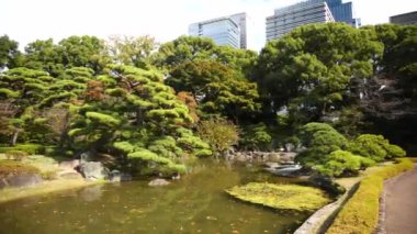 Tokyo 'da yaz mevsiminde Doğu Bahçeleri İmparatorluk Sarayı. Yüksek kalite 4k görüntü.
