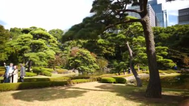 Tokyo, Japonya - 25 Şubat 24: Tokyo 'da yaz zamanı Doğu Bahçeleri İmparatorluk Sarayı. Yüksek kalite 4k görüntü.