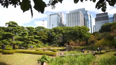 Tokyo, Japonya - 25 Şubat 24: Tokyo 'da yaz zamanı Doğu Bahçeleri İmparatorluk Sarayı. Yüksek kalite 4k görüntü.