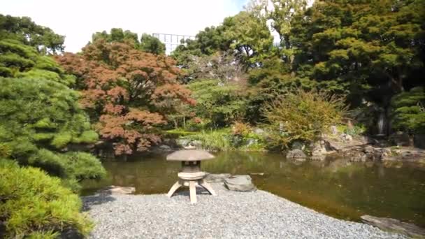 Imperial Palace East Gardens Durante Verão Tóquio Imagens Alta Qualidade — Vídeo de Stock