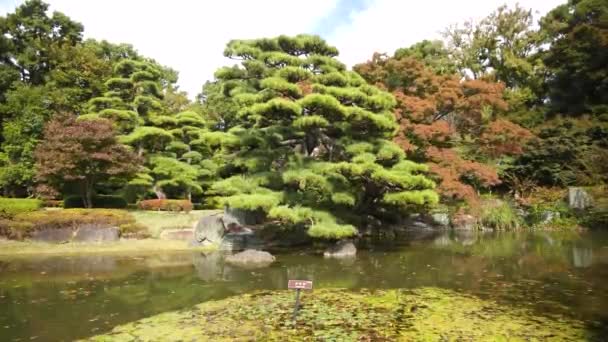 Imperial Palace East Gardens Tijdens Zomer Tokio Hoge Kwaliteit Beeldmateriaal — Stockvideo