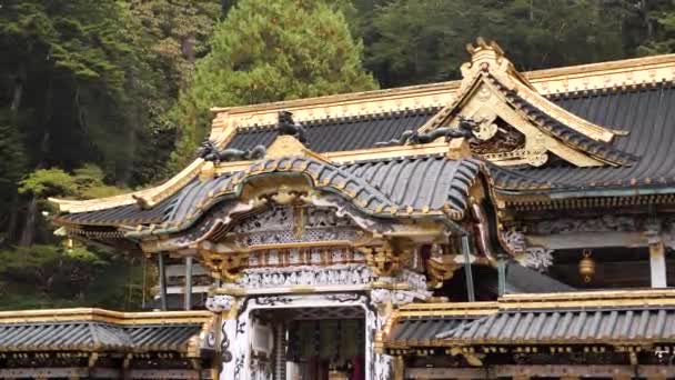 Santuario Toshogu Templo Budista Tradicional Japonés Santuario Sintoísta Con Hermosa — Vídeos de Stock