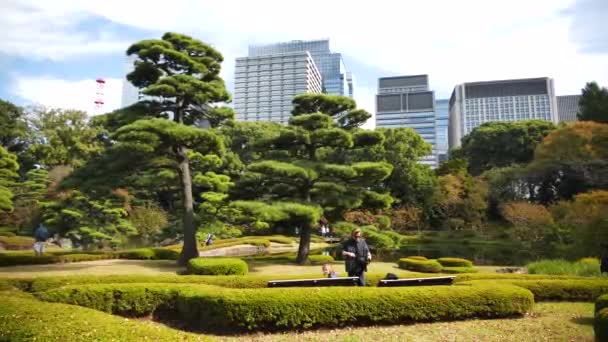 Tokio Japan Februari 2024 Imperial Palace East Gardens Tijdens Zomer — Stockvideo