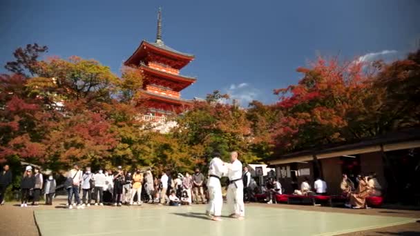 Kyoto Japón Febrero 2024 Aikido Estudiantes Cinturón Negro Inclinan Durante — Vídeo de stock