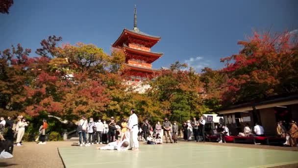 Kyoto Japão Fevereiro 2024 Estudantes Cinturão Preto Aikido Curvar Durante — Vídeo de Stock
