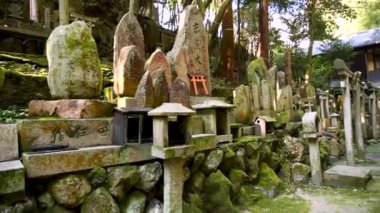 Japonya 'nın Kyoto şehrindeki Fushimi Inari ve Torii kapılarının etrafındaki güzel doğa. Shinto sembolleri. Yüksek kalite 4k görüntü