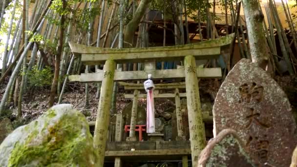 Schöne Natur Rund Fushimi Inari Und Torii Tore Kyoto Japan — Stockvideo