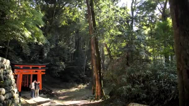 Kyoto Japón Febrero Puerta Torii Santuario Fushimi Inari Hermosa Naturaleza — Vídeos de Stock