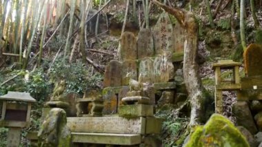 Japonya 'nın Kyoto şehrindeki Fushimi Inari ve Torii kapılarının etrafındaki güzel doğa. Shinto sembolleri. Yüksek kalite 4k görüntü