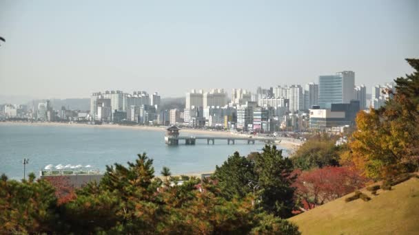 Utsikt Över Pohang Stad Sydkorea Högkvalitativ Film — Stockvideo