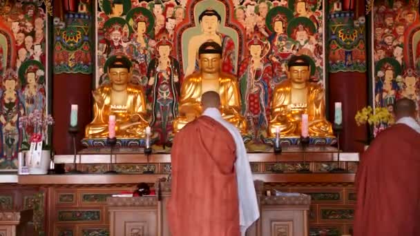 Busan Coreia Sul Fevereiro Monges Budistas Orando Templo Haedong Yonggungsa — Vídeo de Stock
