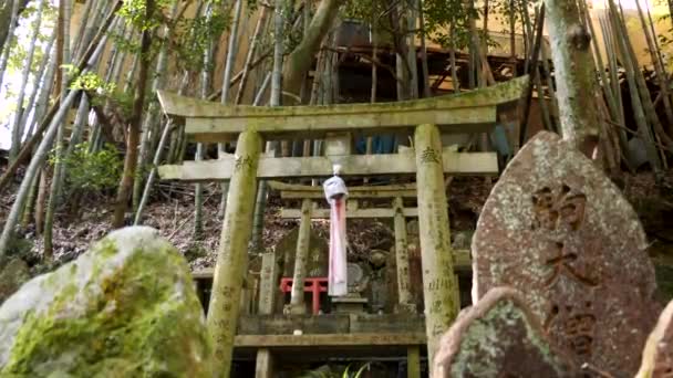 Beautiful Nature Fushimi Inari Torii Gates Kyoto Japan Shinto Symbols — Stock Video