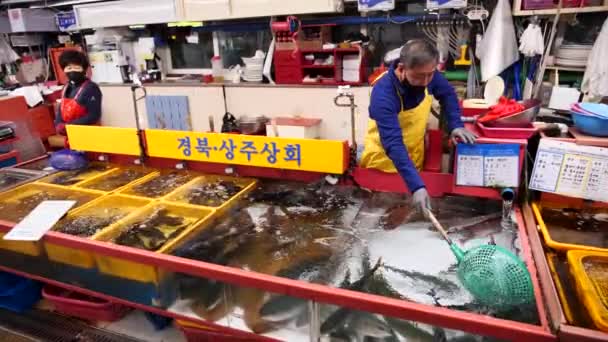 Пусан Южная Корея Февраля Самый Большой Рыбный Рынок Корее Рыбный — стоковое видео