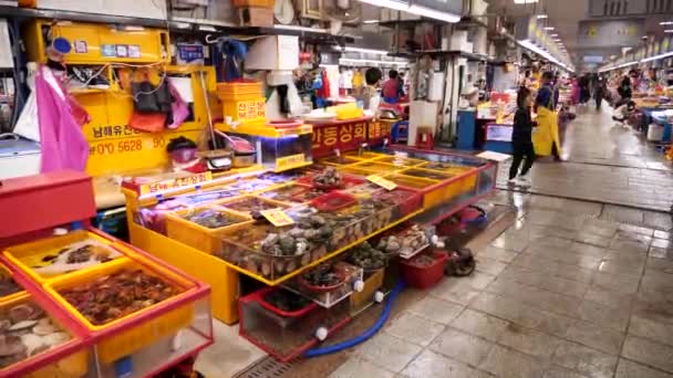 Busan Corea Del Sur Febrero Mercado Pescado Más Grande Corea — Vídeos de Stock