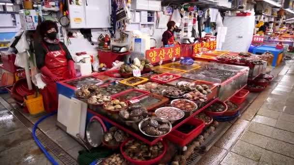 Busan Corea Del Sur Febrero Mercado Pescado Más Grande Corea — Vídeos de Stock