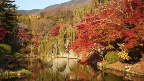 Kolorowe Drzewa Jesienią Tradycyjnym Mostem Południowokoreańskim Jeziorem Kolory Jesieni Żółte — Wideo stockowe