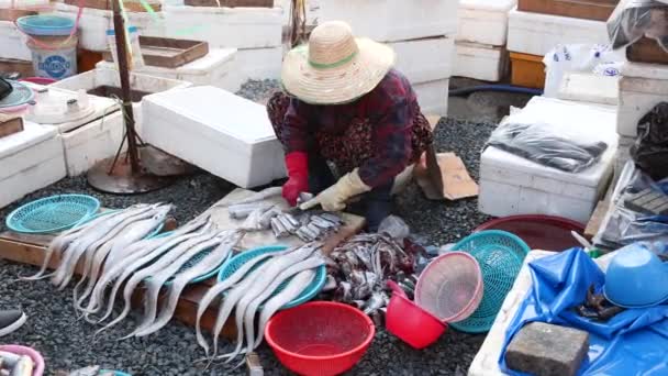 Busan Sydkorea Mars Koreas Största Fiskmarknad Yttre Delen Jagalchis Fiskmarknad — Stockvideo