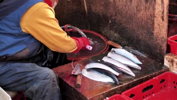 Busan South Korea March Biggest Fish Market Korea Outer Part — Stock Video