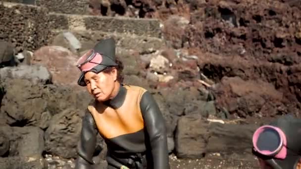 Jeju Island Sydkorea April Haenyeo Traditionelle Kvinder Dykkere Jeju Island – Stock-video
