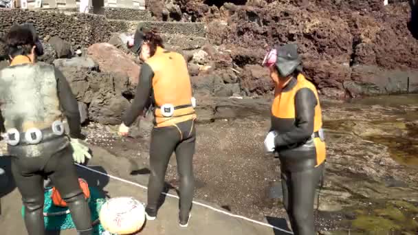 Isla Jeju Corea Del Sur Abril Haenyeo Traditional Women Divers — Vídeos de Stock