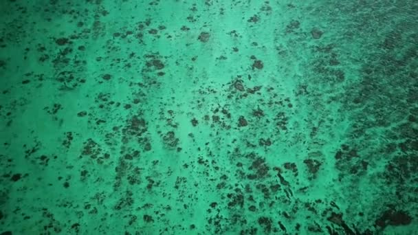 ภาพถ ายทางอากาศของชายหาด Kayo นขนาดใหญ และน าทะเลส าครามในเกาะโอก นาวาประเทศญ ภาพ ณภาพส — วีดีโอสต็อก