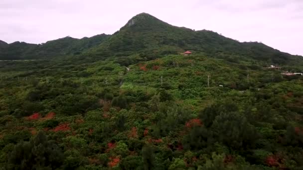 Japonya Nın Okinawa Bölgesindeki Ishigaki Adasının Kuzey Kısmının Insansız Hava Stok Video