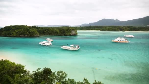Baía Kabira Ilha Ishigaki Prefeitura Okinawa Japão Praia Areia Branca Vídeo De Stock Royalty-Free