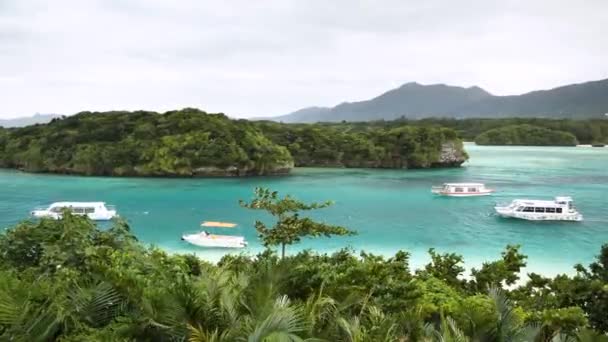 Kabira Körfezi Ishigaki Adası Okinawa Bölgesi Japonya Turkuaz Temiz Küçük Video Klip