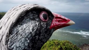 Yanbaru Kuina 'nın büyük bir heykelinin hava aracı görüntüleri. Okinawa 'da endemik egzotik bir kuş. Japonya 'daki Okinawa Demiryolu Gözlem Güvertesi. Yüksek kalite 4k görüntü.