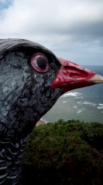 Yanbaru Kuina 'nın büyük bir heykelinin hava aracı görüntüleri. Okinawa 'da endemik egzotik bir kuş. Japonya 'daki Okinawa Demiryolu Gözlem Güvertesi. Yüksek kalite 4k görüntü.