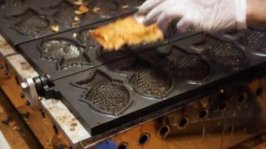 Sazan şekeri. Tokyo, Japonya 'daki Tsukiji pazarında sokak yemekleri. Yüksek kalite 4k görüntü