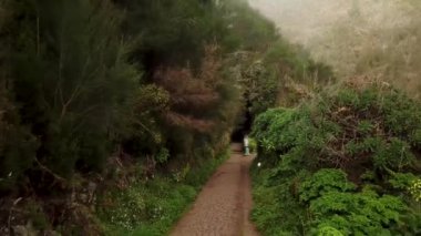 Sisin içinde gizlenmiş Madeira doğası üzerindeki hava aracı atışı. Portekiz, Madeira Adası 'nda virajlı yollar. Yüksek kalite 4k görüntü
