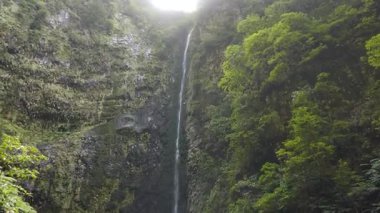 Madeira 'daki ünlü şelale. Levada Caldeirao Verde 'de yürüyüş. Portekiz, Madeira Adası 'nda Levada yürüyüşü. Madeira Levadas 'a yürü. Yüksek kalite 4k görüntü