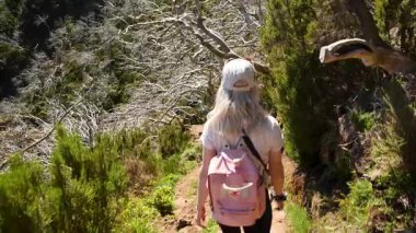 Madeira, Portekiz - 27 Ocak, 25: Portekiz 'deki Madeira Adası' nda dağ yürüyüşü. Ruivo ve Arieiro 'ya tırmanış ve zirveler. Yüksek kalite 4k görüntü