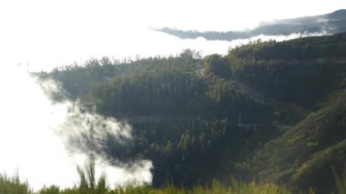 Dağlar, Zirveler ve Tepeler Madeira, Portekiz bulutlarında gizlidir. Yüksek kalite 4k görüntü