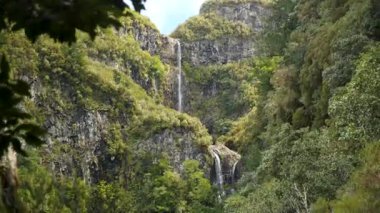Madeira 'daki ünlü şelale. Levada yürüyüşü. Portekiz, Madeira Adası 'nda Levada yürüyüşü. Madeira Levadas 'a yürü. Yüksek kalite 4k görüntü
