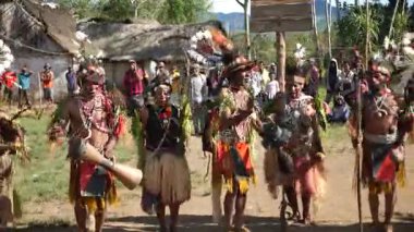 Goroka, Papua Yeni Gine - 26 Mart 25: Papuan kabile dansı. Kabile festivali. Goroka Şovu. Kültürel bir etkinlik. Yerli kadınlar ve erkek kostümleri içinde daireler çizerek dans ediyorlar. Yüksek kalite 4k görüntü.