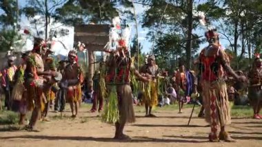 Goroka, Papua Yeni Gine - 26 Mart 25: Papuan kabile dansı. Kabile festivali. Goroka Şovu. Kültürel bir etkinlik. Yerli kadınlar ve erkek kostümleri içinde daireler çizerek dans ediyorlar. Yüksek kalite 4k görüntü.