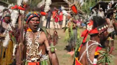 Goroka, Papua Yeni Gine - 26 Mart 25: Papuan kabile dansı. Kabile festivali. Goroka Şovu. Kültürel bir etkinlik. Yerli kadınlar ve erkek kostümleri içinde daireler çizerek dans ediyorlar. Yüksek kalite 4k görüntü.