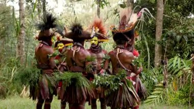 Tari, Papua Yeni Gine - 26 Mart, 25: Huli Wigmen Highland bölgesinde zıplama dansı. Kabile savaşçıları töreni. Papuan kabilesi dansı. Yüksek kalite 4k görüntü. 
